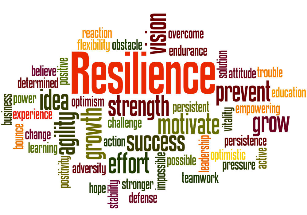 What Are Other Words For Resilience